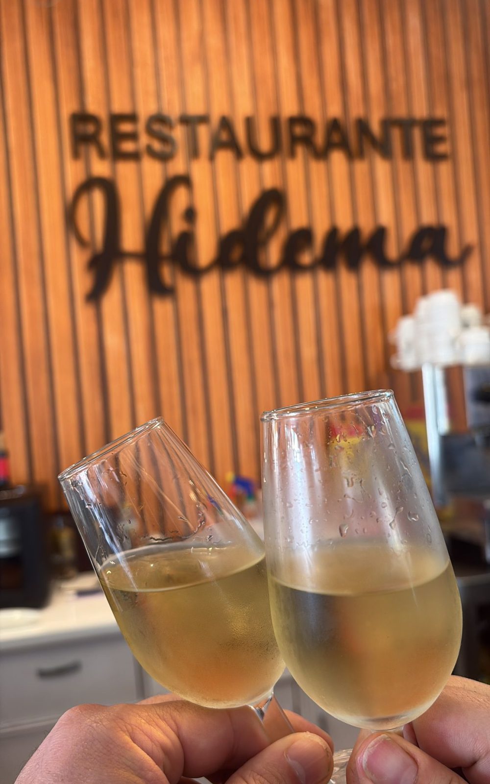 WhatsApp Image 2026-02-11 at 15.42.31